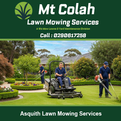 Professional gardening crew maintaining expansive lawn area with commercial equipment in Asquith Sydney