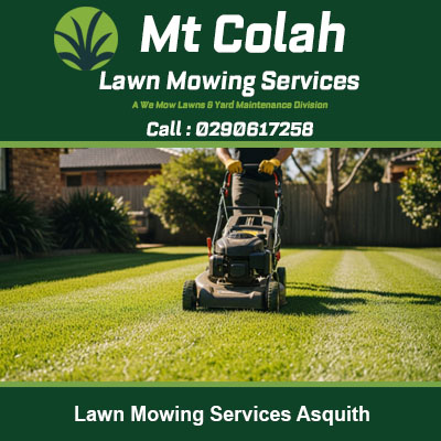 Gardener operating ride on mower on backyard lawn at residential property in Asquith NSW