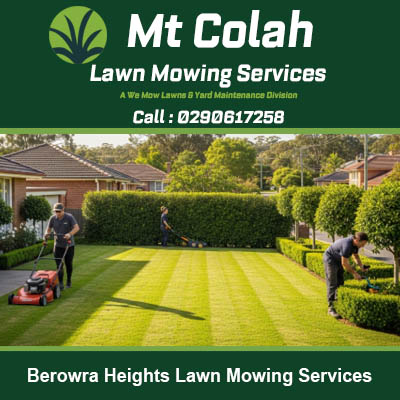 Lawn mowing team creating striped pattern between tall hedges at property in Berowra Heights NSW