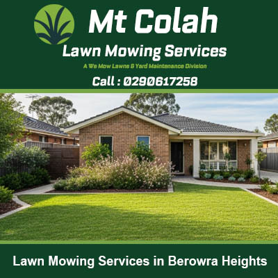 Quality lawn care creating striped grass at family home with garden beds in Berowra Heights New South Wales