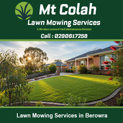 Professional lawn mowing showing striped pattern at residential property in Berowra Sydney