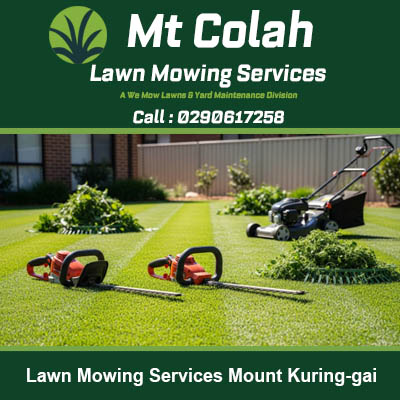 Professional lawn care tools including mower blower and trimmer on yard in Mount Kuring-gai Sydney