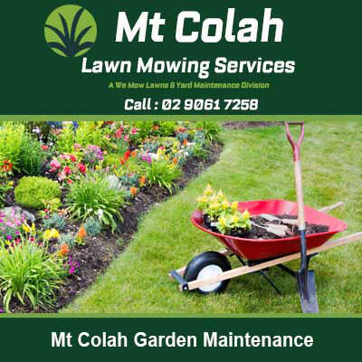 Red wheelbarrow with gardening tools in Mt Colah