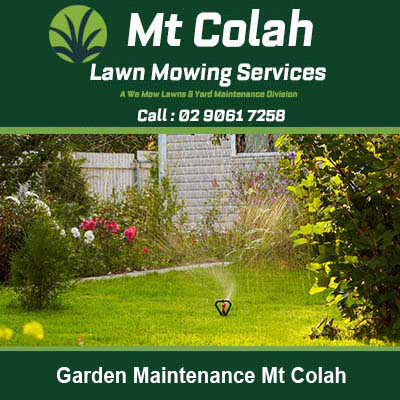 Well maintained lawn with sprinkler in Mt Colah