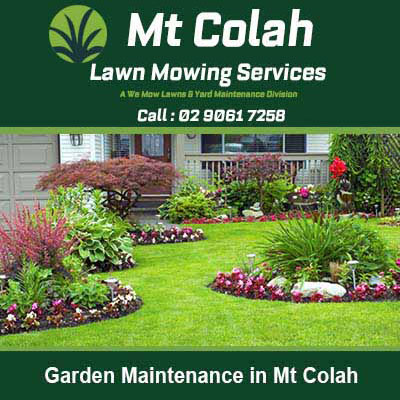 Professionally landscaped yard in Mt Colah
