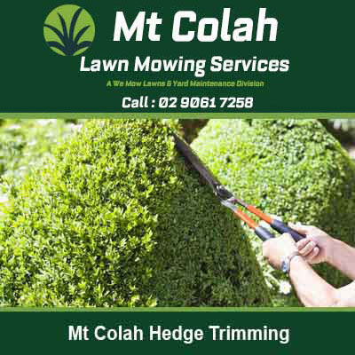 Hands using hedge trimmers to cut green hedge in Mt Colah