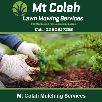 Hands in gardening gloves applying mulch in Mt Colah