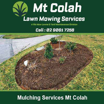Oval garden bed with fresh mulch in Mt Colah