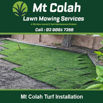 Fresh turf rolls being laid ground in Mt Colah