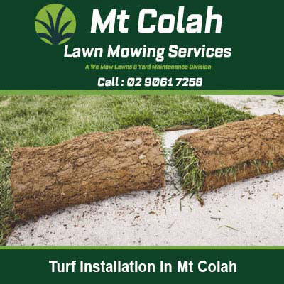 Natural turf rolls ready for installation in Mt Colah
