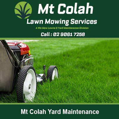 Close-up of lawn mower wheels on green grass in Mt Colah