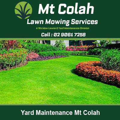 Well-maintained lawn with colorful garden beds in Mt Colah