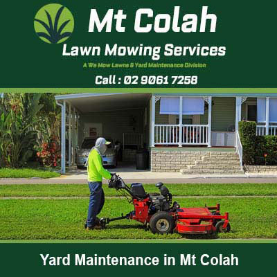 Worker operating red mower on residential lawn in Mt Colah